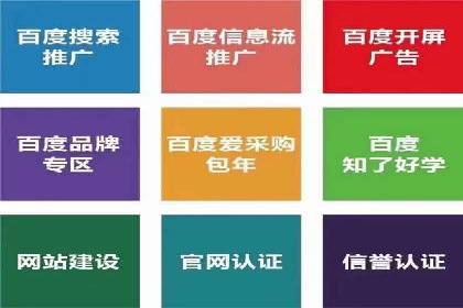 网络营销实战：成功竞价推广案例分析